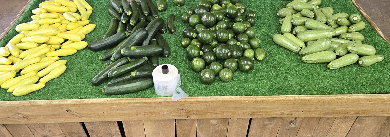squash
